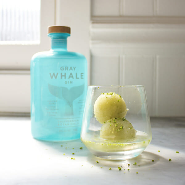 Gray Whale Sorbet